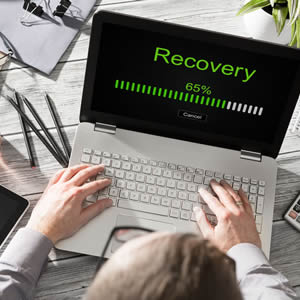 Business Recovery